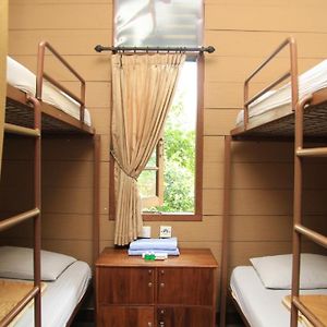 Bunk Bed Male Dormitory Room